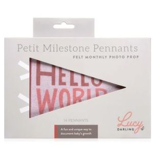 NWT Lucy Darling Blushing Meadow Petit Milestone Pennant